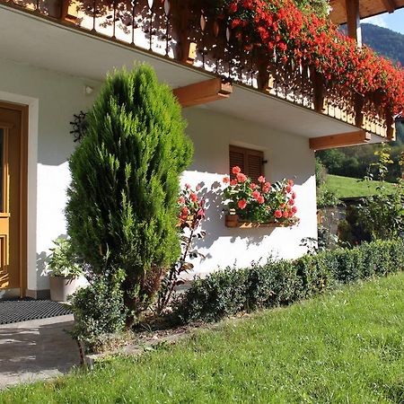 Haus Kofler Daire Casateia Dış mekan fotoğraf